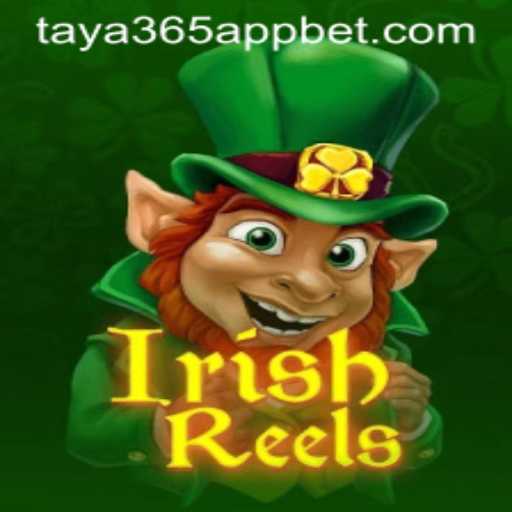 Discover the Exciting World of IrishReels with Taya365 App